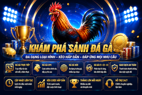ĐA DẠNG LOẠI HÌNH ĐÁ GÀ KUBET88,NHIỀU HÌNH THỨC THI ĐẤU – PHÙ HỢP MỌI PHONG CÁCH CƯỢC