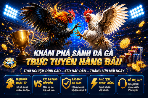 Đá Gà KUBET88 – Theo Dõi Trực Tiếp Và Chọn Kèo Chọi Kê Dễ Dàng